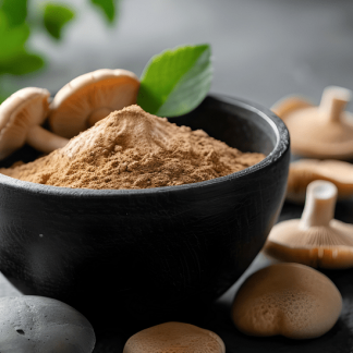 [Елена Александрова, Мария Харитонова, Ирина Кононенко] Функциональные грибы: природная поддержка тела и эмоций (2025) [УОМ]