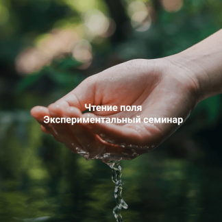 [Елена Веселаго] Чтение поля. Экспериментальный семинар (2025) [Институт Открытого поля]