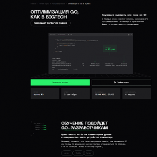 [Игорь Панасюк] Оптимизация Go, как в BigTech (2025) [Balun Courses]