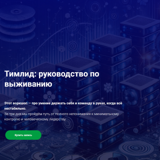 [Иван Шаматов] Тимлид: руководство по выживанию (2025) [Thinknetica]