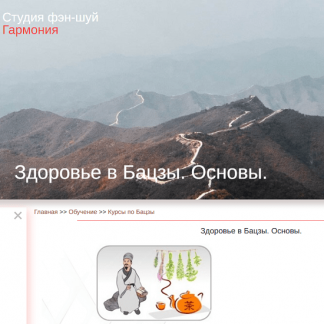 [Юлия Бальсина] Здоровье в Бацзы. Основы (2025)