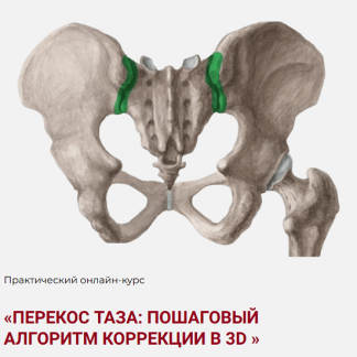 [Дмитрий Семёнов] Перекос таза: Пошаговый алгоритм коррекции в 3D (2025)