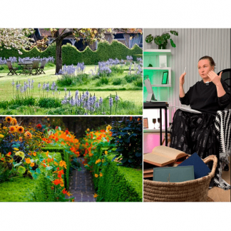 [Татьяна Гольцова] Видение. Урок 3. Захват внимания. Центр композиции (2025)