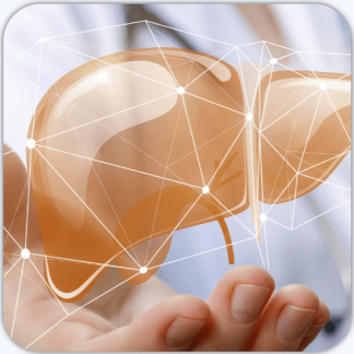 [Валерий Подрубаев] Печень забита жиром — как остановить тихого убийцу? (2025) [Humberto 2.0]