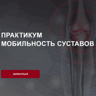 [Дмитрий Семёнов] Мобильность суставов (2025)