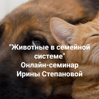 [Ирина Степанова] Животные в семейной системе (2025) [Институт Открытого поля]