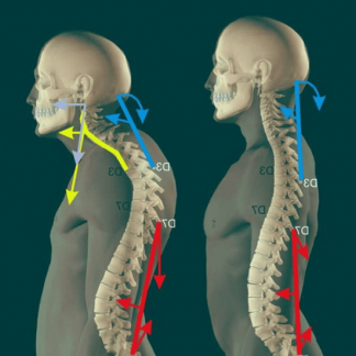 [Екатерина Васильева] Курс 40 + (2025) [kate_good_fitt]