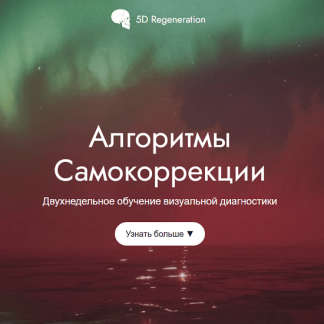 [Елена Гондорчин] Алгоритмы самокоррекции (2025)
