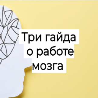 [Елена Иванова] Три гайда о работе мозга (2025) [Humberto.2.0]