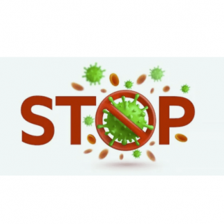 [Катерина Форма, Ирина Выборнова] Стоп Вирус (2025)