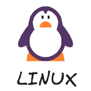 [Матвей Чудневцев, Михаил Новичихин] Linux простым языком (2025) [Stepik]