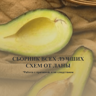 [Светлана Литвиненко] Сборник всех лучших схем (2025)