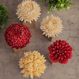 [Яна Мурачёва] Хризантемы из зефира (2025) [pryancholito]