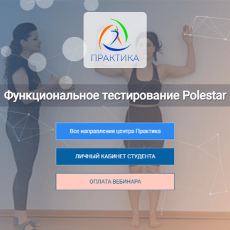 [Елена Волкова] Функциональное тестирование Polestar (2025) [Центр Практика]