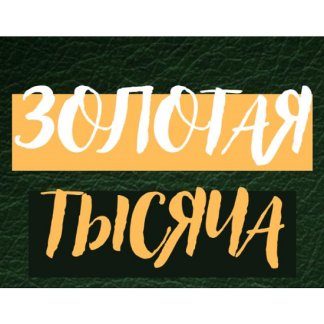 [Василина Баранова] Золотая тысяча. Том 11 (2026) [vasilinfo]