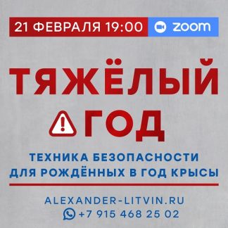[Александр Литвин] Тяжёлый год. Техника безопасности для рождённых в год Крысы (2026)