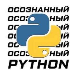 [Buddha IT] Осознанный Python – Пиши красиво с PEP 8 (2025) [Stepik]