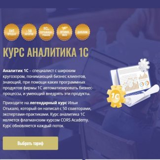 [Илья Отькало, Станислав Митичкин, Андрей Коптелов] Курс Аналитика 1C. 2025 [Тариф Базовый] [CORS Academy]