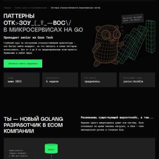 [Владимир Балун] Паттерны отказоустойчивости в микросервисах на Go (2025) [Тариф Стандарт] [Balun.Courses]