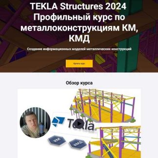 [Школа НИП] Tekla Structures 2024. Профильный курс по металлоконструкциям КМ, КМД