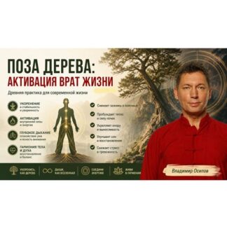 [Владимир Осипов] Поза дерева: активация врат жизни (2026) [Тариф Стандарт]
