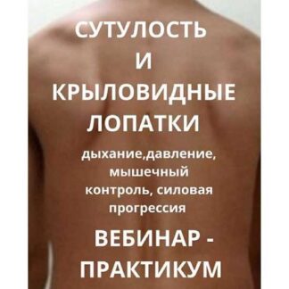 [Александр Волоткевич] Сутулость и крыловидные лопатки. Дыхание, давление, мышечный контроль, силовая прогрессия (2026)