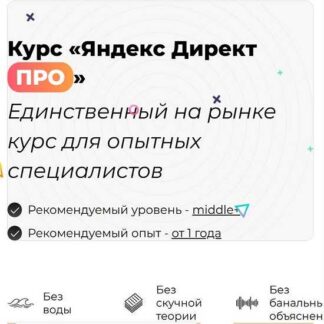 [Дарья Дейн] Яндекс Директ Про (2026)