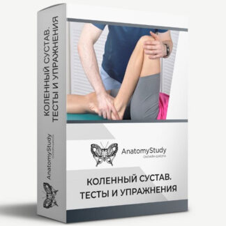 [Андрей Богатырев] Коленный сустав. Тесты и упражнения (2020)