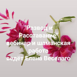 [Елена Веселаго] Развод и Расставание (2026) [Институт Открытого поля]