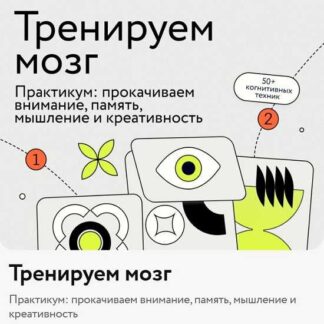 [Полина Кривых, Анастасия Неклюдова] Тренируем мозг (2026) [МИФ Курсы]