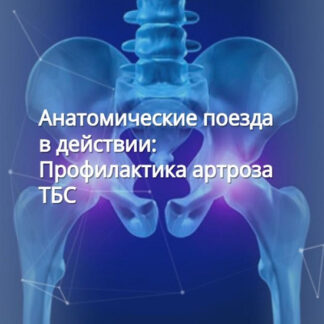 [Анна Щербина] Анатомические поезда в действии: профилактика артроза ТБС (2026)