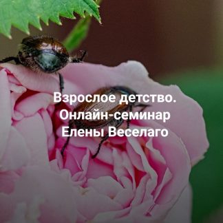 [Елена Веселаго] Взрослое детство. Семинар о травме развития и кПТСР (2026) [Институт Открытого поля]